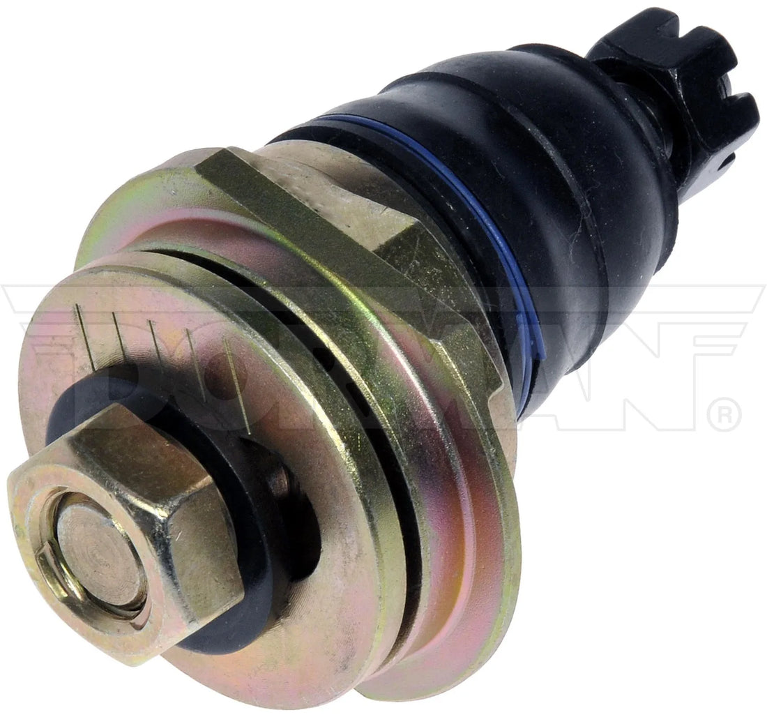 Dorman 539-019 1992-2001 Honda Prelude Alignment Caster