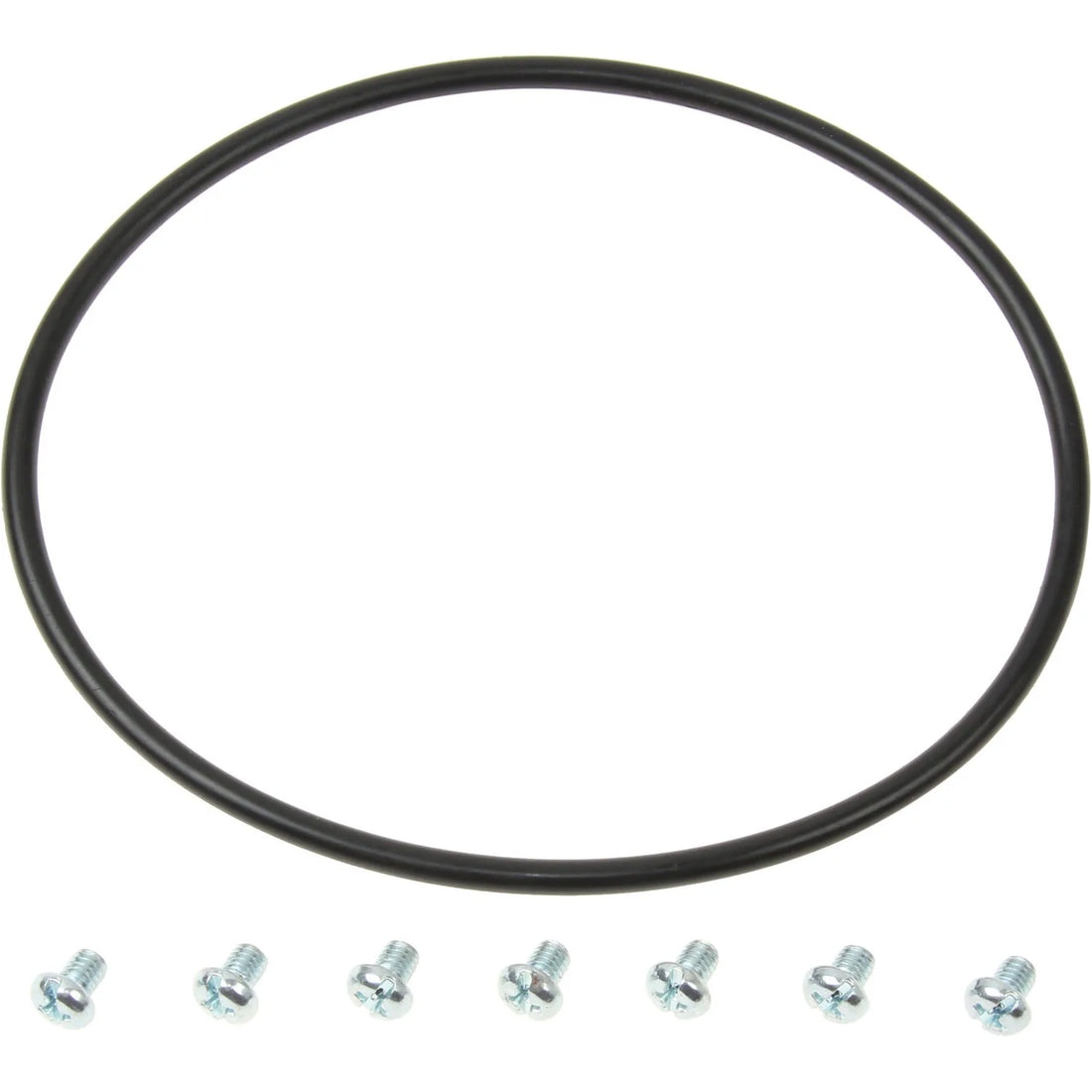 Dorman 579-010 1998-2004 Nissan Frontier Fuel Tank Sending Unit Lock Ring