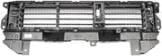Dorman 601-330 2017-2019 Honda CR-V Radiator Shutter Assembly