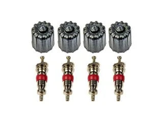 Dorman 609-126 Tire Pressure Monitoring System (TPMS) Valve Stem