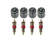 Dorman 609-126 Tire Pressure Monitoring System (TPMS) Valve Stem