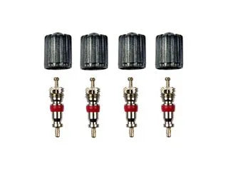 Dorman 609-126 Tire Pressure Monitoring System (TPMS) Valve Stem