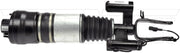 Dorman 949-600 2008-2009 Mercedes-Benz E300 Air Suspension Strut