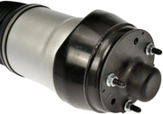 Dorman 949-803 2017-2019 Mercedes-Benz GLS450 Air Suspension Strut