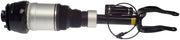 Dorman 949-849 2017-2018 Mercedes-Benz GLE43 AMG Air Suspension Strut