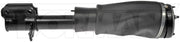 Dorman 949-998 2003-2005 Land Rover Range Rover Air Suspension Strut