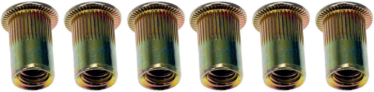 Dorman 963-250BX Rivet Nut
