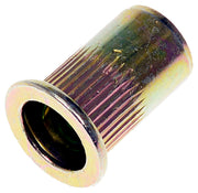 Dorman 963-252D Rivet Nut