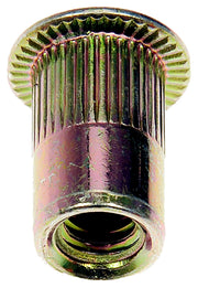Dorman 963-281D Rivet Nut