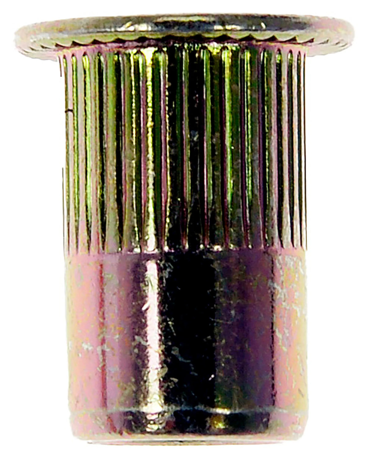 Dorman 963-281D Rivet Nut