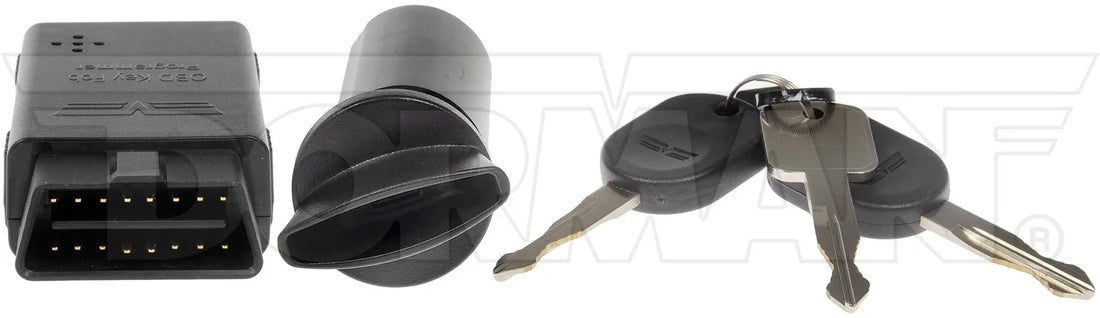Dorman 989-711 2008-2011 Ford E-150 Ignition Lock Cylinder