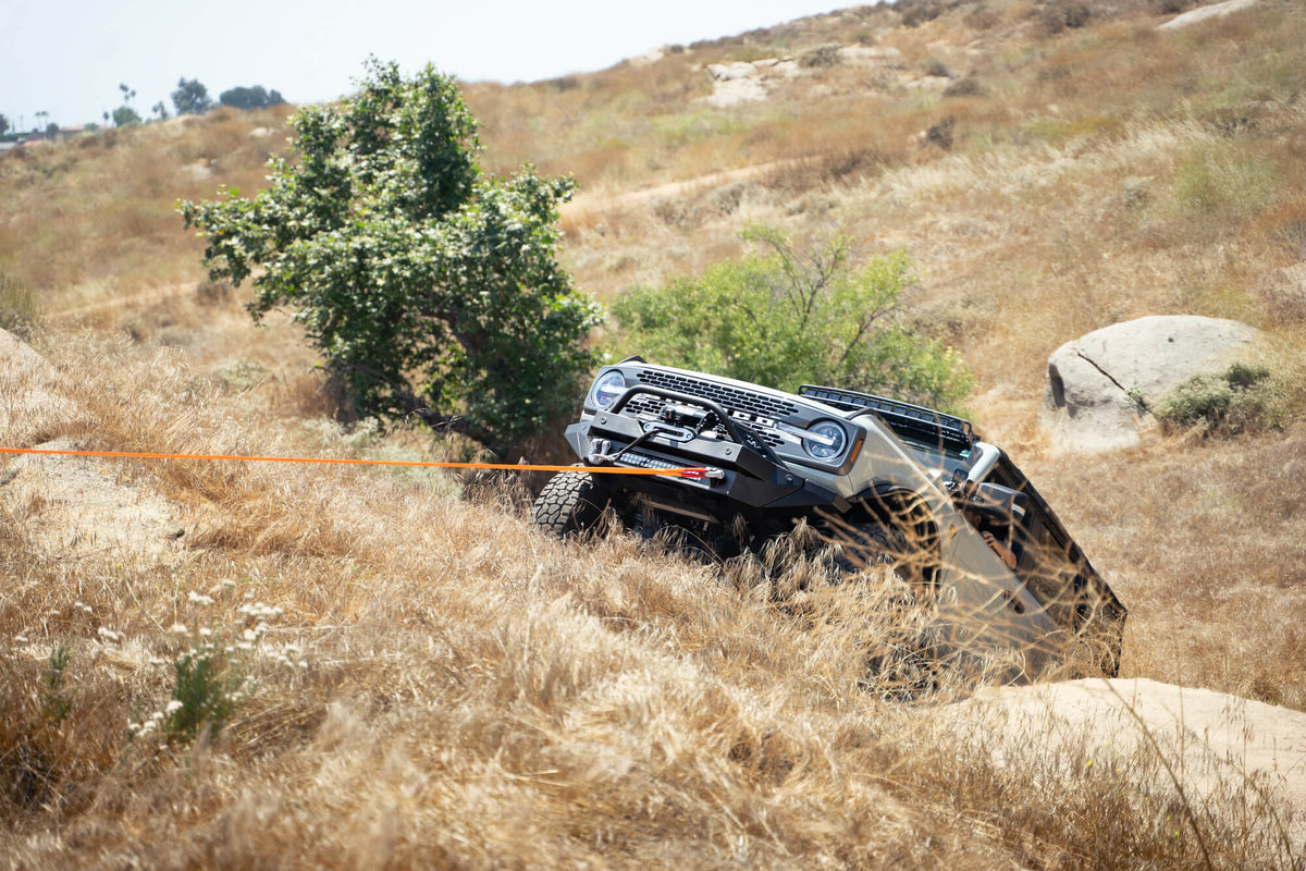 DV8 Elite Series D-Rings