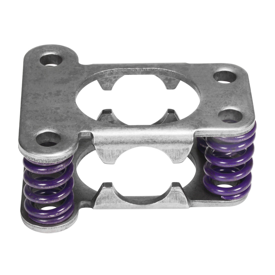 Yukon Gear and Axle YDG-SPRK29590 - Yukon Dura Grip 400-lb spring kit w/preload plates, GM 8.5/12P/12T, Ford 8.8” 2