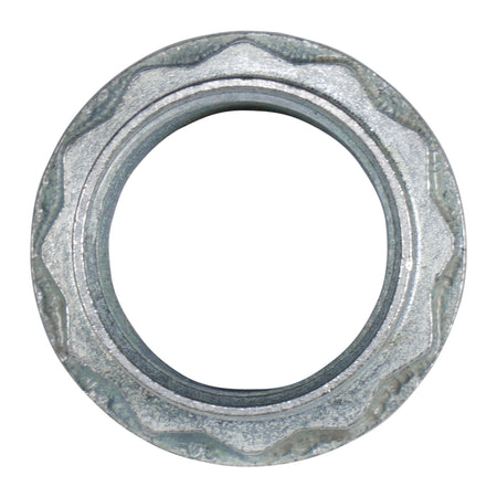 Yukon Gear and Axle YSPPN-001 - C200F pinion nut, WK front. 5
