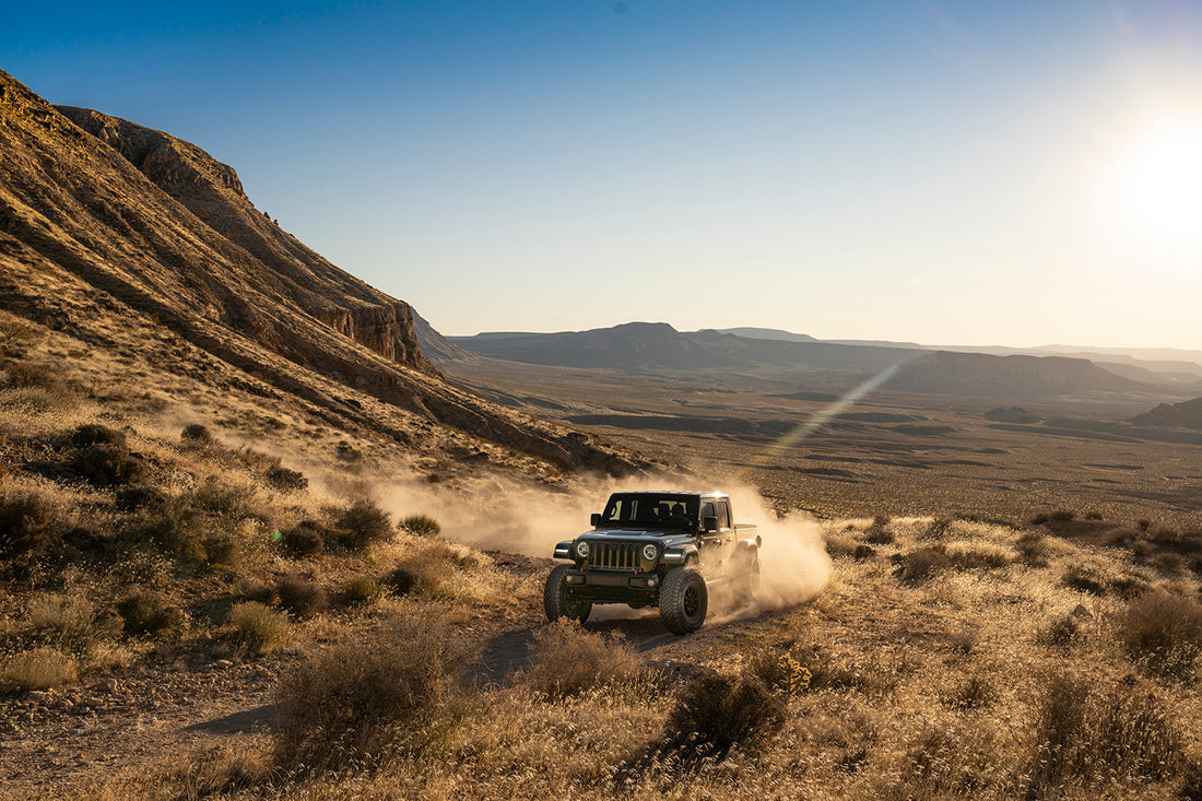FOX Shocks 885-24-248 - Suspension Shock Absorber Kit
