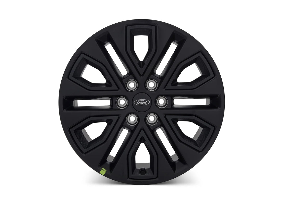 Ford Performance M-1007-P2085AA F-150 20X8.5" INSERT WHEEL KIT - BLACK